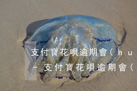 支付寶花唄逾期會(huì)影響備用金嗎-支付寶花唄逾期會(huì)影響備用金嗎