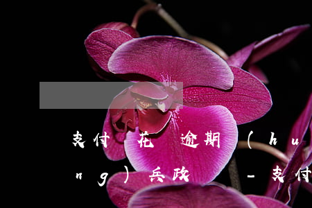 支付寶花唄逾期會(huì)影響當(dāng)兵政審嗎-支付寶花唄逾期會(huì)影響當(dāng)兵政審嗎知乎