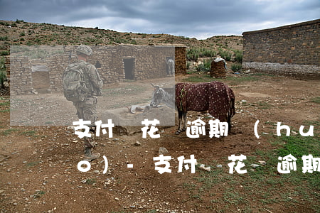 支付寶花唄逾期會(huì)扣小號(hào)-支付寶花唄逾期會(huì)扣小號(hào)的錢嗎