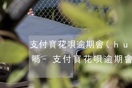 支付寶花唄逾期會(huì)給家里寄賬單嗎-支付寶花唄逾期會(huì)給家里寄賬單嗎安全嗎