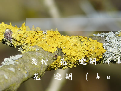 支付寶花唄逾期會(huì)走訪戶籍地嗎（花唄逾期會(huì)查戶口么）