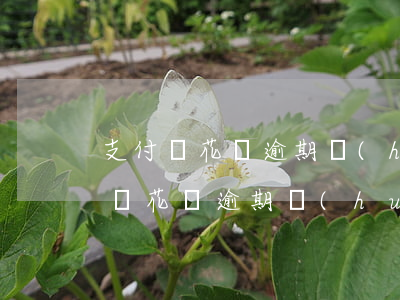 支付寶花唄逾期會(huì)起訴嘛-支付寶花唄逾期會(huì)起訴嘛