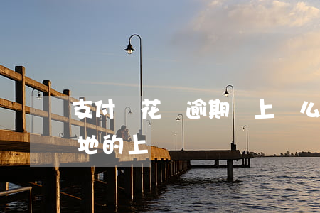 支付寶花唄逾期會上門么(支付寶花唄逾期本地的上門嗎)