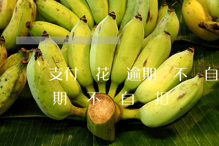 支付寶花唄逾期會不會自動扣(支付寶花唄逾期會不會自動扣)