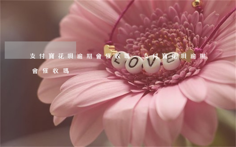 支付寶花唄逾期會催收嗎-支付寶花唄逾期會催收嗎