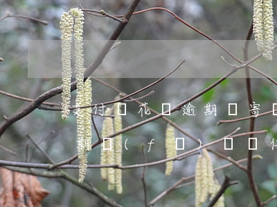支付寶花唄逾期會寄掛號信么(支付寶借唄逾期發(fā)掛號信給我)