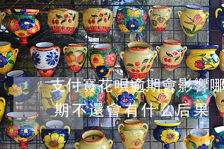支付寶花唄逾期會影響哪些事(支付寶花唄逾期不還會有什么后果)