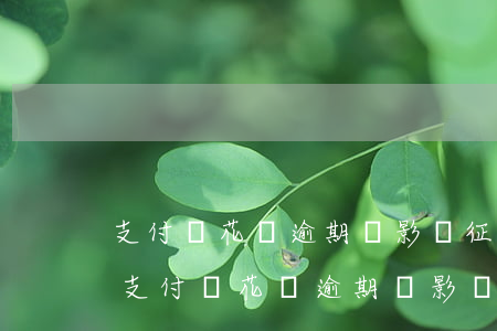 支付寶花唄逾期會影響征信嗎有什么影響-支付寶花唄逾期會影響征信嗎有什么影響嗎