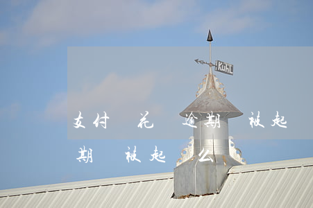 支付寶花唄逾期會被起訴么-支付寶花唄逾期會被起訴么