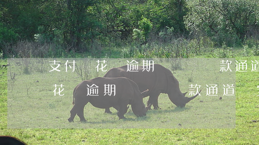 支付寶花唄逾期會關閉還款通道嗎-支付寶花唄逾期會關閉還款通道嗎安全嗎