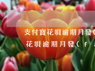 支付寶花唄逾期月發(fā)短信-支付寶花唄逾期月發(fā)短信是真的嗎