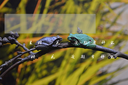 支付寶花唄逾期有什么結(jié)果-支付寶花唄逾期有什么結(jié)果嗎