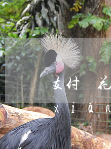 支付寶花唄逾期有什么風(fēng)險(xiǎn)(支付寶花唄逾期貸款有影響嗎)