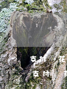 支付寶花唄逾期有多少錢(qián)了-支付寶花唄逾期有多少錢(qián)了會(huì)被起訴