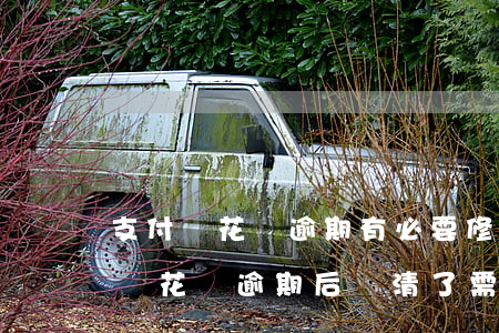 支付寶花唄逾期有必要修復(fù)嗎(支付寶花唄逾期后還清了需要修復(fù)不)
