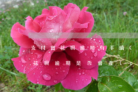 支付寶花唄逾期有手續(xù)費嗎，支付寶花唄逾期是否會產(chǎn)生手續(xù)費？