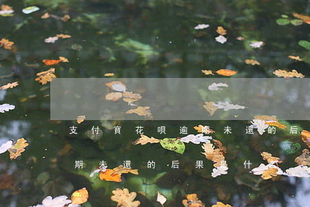 支付寶花唄逾期未還的后果-支付寶花唄逾期未還的后果是什么