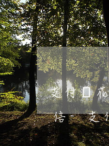 支付寶花唄逾期杭州寄來的掛號(hào)信-支付寶花唄逾期寄掛號(hào)信是干啥用的