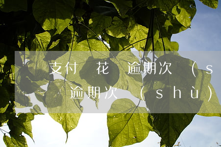 支付寶花唄逾期次數(shù)-支付寶花唄逾期次數(shù)超限