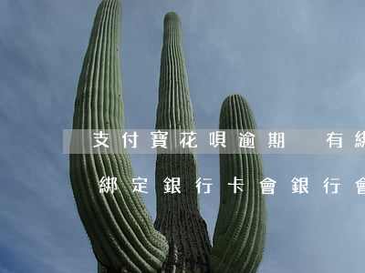 支付寶花唄逾期沒有綁定銀行卡(花唄逾期不綁定銀行卡會銀行會扣錢嗎)