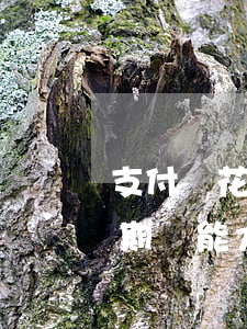 支付寶花唄逾期沒能力償還-支付寶花唄逾期沒能力償還怎么辦