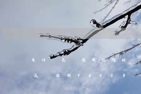 支付寶花唄逾期法院的傳票下來(lái)(花唄逾期7000多說(shuō)要關(guān)閉還款通道,等法院傳票我)