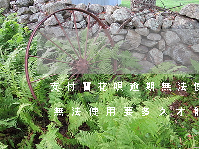 支付寶花唄逾期無法使用-支付寶花唄逾期無法使用要多久才能恢復(fù)正常