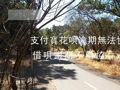 支付寶花唄逾期無法協(xié)商(支付寶借唄逾期不給協(xié)商)