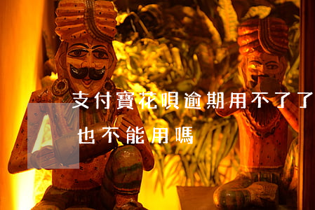 支付寶花唄逾期用不了了(花唄逾期了支付寶也不能用嗎)