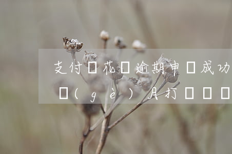 支付寶花唄逾期申訴成功(支付寶花唄逾期3個(gè)月,打電話說要起訴我了)