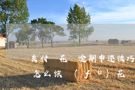 支付寶花唄逾期申述技巧(支付寶花唄逾期了怎么恢復(fù)花唄額度)