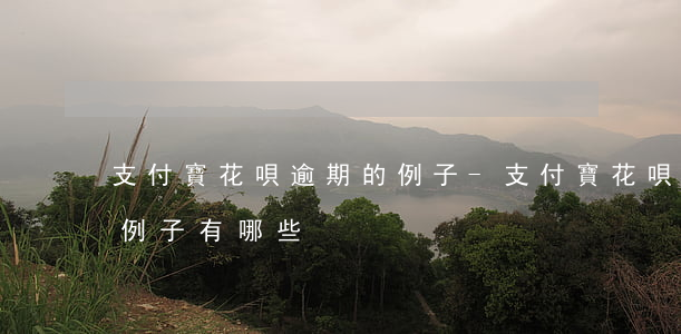 支付寶花唄逾期的例子-支付寶花唄逾期的例子有哪些