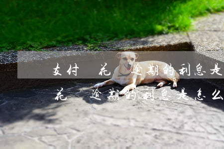 支付寶花唄逾期的利息是怎么樣算-支付寶花唄逾期的利息是怎么樣算的