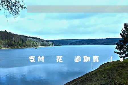 支付寶花唄逾期真實(shí)起訴案例