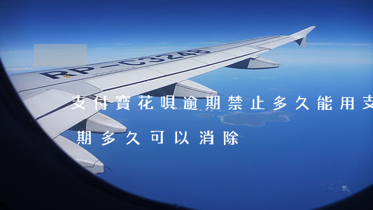 支付寶花唄逾期禁止多久能用 支付寶花唄逾期多久可以消除