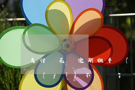支付寶花唄逾期租手機(jī)(支付寶租手機(jī)不歸還了)