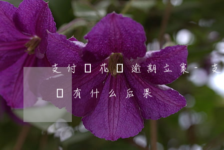 支付寶花唄逾期立案-支付寶花唄逾期立案會有什么后果