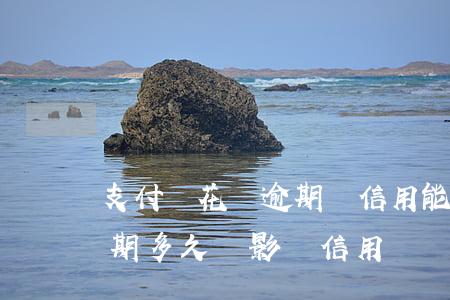 支付寶花唄逾期綁信用能用嗎 支付寶花唄逾期多久會影響信用