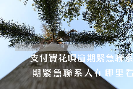 支付寶花唄逾期緊急聯系人-支付寶花唄逾期緊急聯系人在哪里看