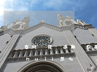 支付寶花唄逾期罰息高嗎(花唄逾期罰息會(huì)怎么樣)