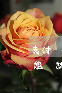 支付寶花唄逾期能帶款嘛-支付寶花唄逾期能帶款嘛