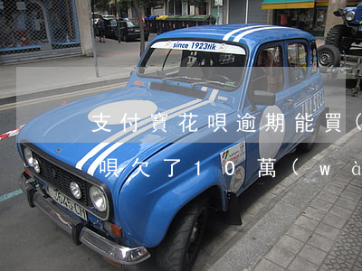 支付寶花唄逾期能買(mǎi)房子嗎-借唄欠了10萬(wàn)逾期4年了