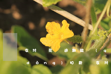 支付寶花唄逾期能關(guān)閉自動(dòng)扣款嗎(支付寶花唄逾期會(huì)自動(dòng)扣錢嗎)