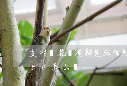 支付寶花唄逾期芝麻信用350(花唄信用350怎么辦)
