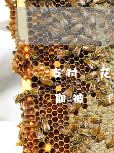 支付寶花唄逾期被停重新開通(支付寶花唄逾期被關(guān)閉后還有機(jī)會(huì)開通嗎)