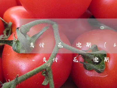 支付寶花唄逾期補(bǔ)上了多久能使用-支付寶花唄逾期補(bǔ)救