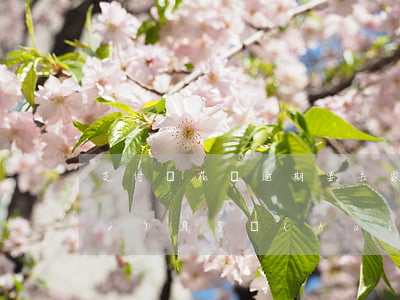 支付寶花唄逾期要去家里(花唄逾期五個(gè)月了,會(huì)不會(huì)找我家里去)