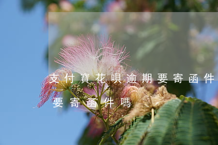 支付寶花唄逾期要寄函件-支付寶花唄逾期要寄函件嗎