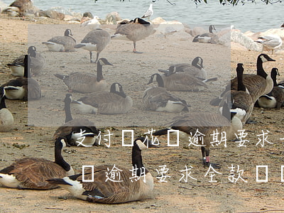 支付寶花唄逾期要求一次性付清-支付寶花唄逾期要求全款歸還