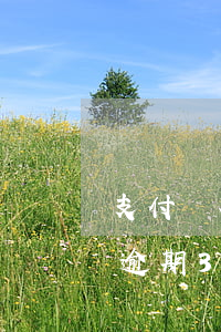 支付寶花唄逾期要求一次性還清(支付寶花唄逾期3個(gè)月后還清了還能用花唄嗎)